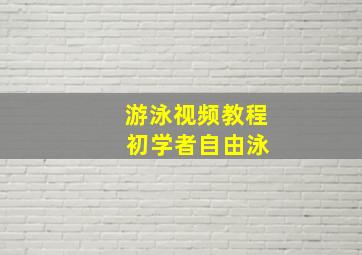 游泳视频教程 初学者自由泳